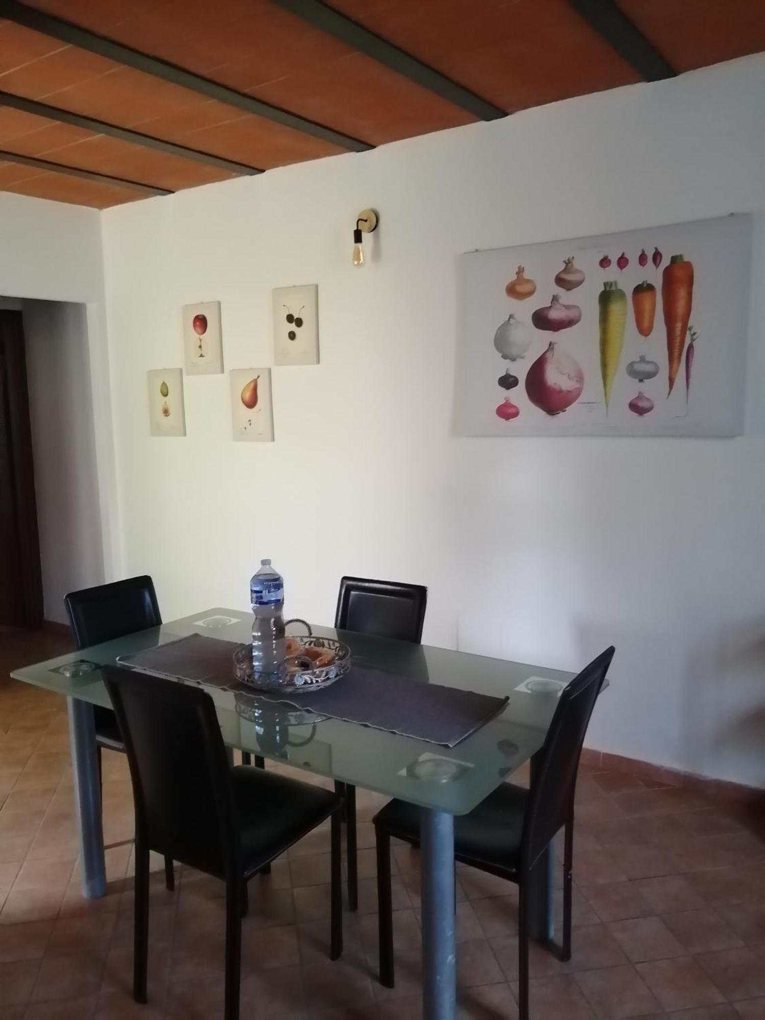 A Casa Mia Apartment Pisa Exterior foto
